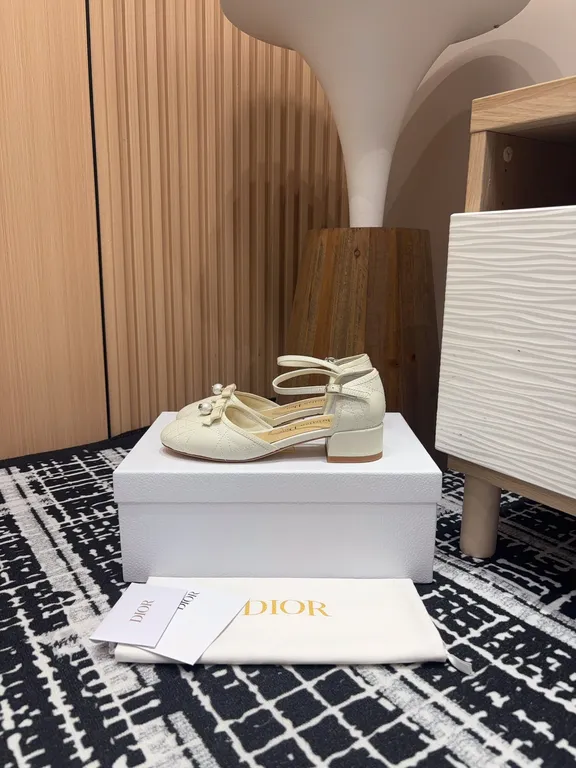 Dior Shoe 